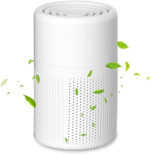 Air Purifiers for Home Bedroom, YiYunTE Small Air Purifier with 3-Stage Filter/Aromatherapy Diffuser/Sleep Mode, Portable Quiet Air Filter Cleaner Freshener Purifier for Smoke Allergies Pet Dander
