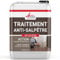 Traitement du salpêtre, antisalpêtre pour murs humides, hydrofuge, anti moisissure : Antisapêtre - 20 L (jusqu à 80m²) - ARCANE INDUSTRIES