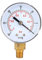 Regun Vacuometro, Mini manometro a quadrante sottovuoto, -1-0Bar -30-0inHg 50mm 1/8 BSPT Attacco Inferiore, per Aria Acqua Olio