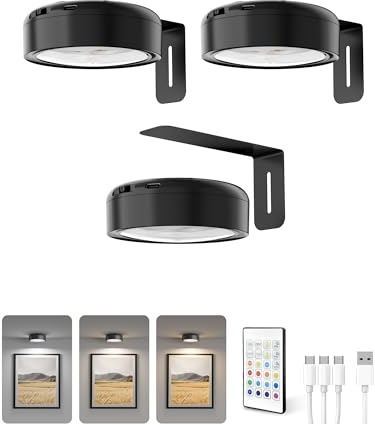 Homelist Picture Lights for Wall, 2200mAh Rechargeable, 3 Pack, Black