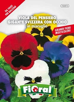 Sementi da fiore di qualità in bustina per uso amatoriale (VIOLA DEL PENSIERO GIGANTE SVIZZERA CON OCCHIO IN MISCUGLIO)