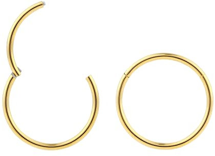 (8mm 18G) 2PCS Titanium Implant Grade Septum Jewellery Hinged Segment Ring Body Piercing Hoop Lip Rings Helix Cartilage Rook Sleeper Earrings Nickel Free Hypoallergenic