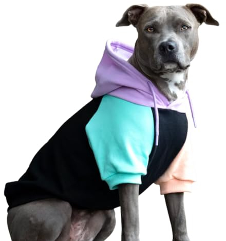 Spark Paws Hunde-Kapuzenpullover – Premium-Qualität, butterweich, hervorragender Komfort und Passform, beruhigende Fleece-Innenseite, geeignet für alle Rassen - Cyber Punk - M