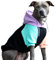 Spark Paws Hunde-Kapuzenpullover – Premium-Qualität, butterweich, hervorragender Komfort und Passform, beruhigende Fleece-Innenseite, geeignet für alle Rassen - Cyber Punk - M