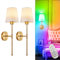 Depuley Batteriebetriebene 5w innen Wandleuchte: 2er-Set kabellose led Wandleuchten mit Fernbedienung für Schlafzimmer - Wiederaufladbare Gold wandlampe in 15 Farben für Wohnzimmer Flur
