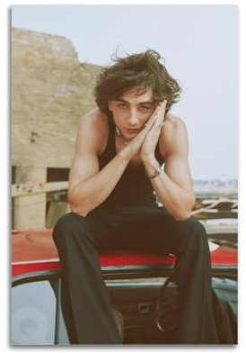 Timothee Chalamet Charmantes Poster, Kunstwerke, Leinwand, ästhetische Wandkunstdrucke, Heimdekoration, 20 x 30 cm