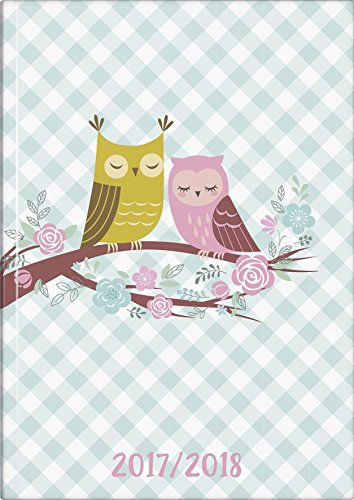 Brunnen 1072982038 Schülerkalender Eule (1 Woche in 2 Seiten, August 2017 bis Juli 2018)