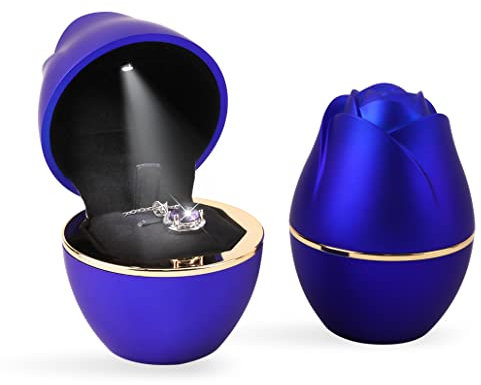 iSuperb LED Anhänger Boxen Schmuckkästen Halskette Armband Aufbewahrungshalter Ringbox mit Lichtern Schmuck Geschenkboxen Necklace Boxes für Frauen (Blau)