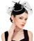 dressfan Fascinator Hut Damen Hochzeit Haarschmuck Schleier Vintage Perle Stirnband Gatsby Haarreif 20er 50er Pillbox Kopfschmuck für Hochzeit/Cocktail/Gatsby/Teeparty,Black
