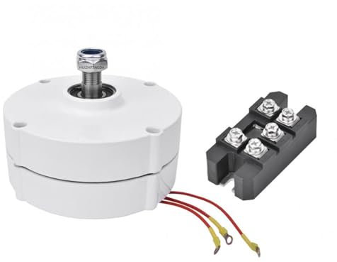 HUIZHITENGDA 48v,Efficiente 12000W Gearless Permanent Magnet Generator '48V 220V generatori alternatore a Bassa velocità con Uso di Base per turbina eolica turbina ad Acqua (Bianco)