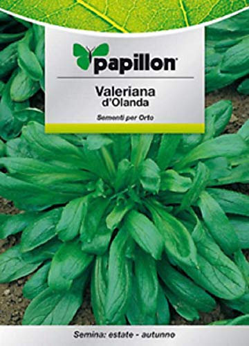 Semi Aromatici di Valeriana D'Olanda Sementi per Orto