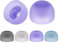 Sostituzione auricolare in silicone Punte auricolari Copertura auricolare per JBL Wave 200 TWS/WAVE BEAM Cuffia auricolare in silicone Tappo punta copertura (Viola)