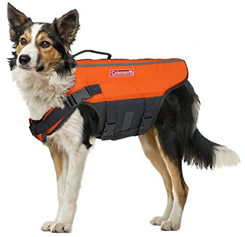 Coleman Schwimmweste für Haustiere, für Pool, Boot, Strand, See, Größe M (12,7 x 40 x 8,9 cm)