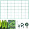 Shalwinn Pflanzennetz, Premium Ranknetz, Ranknetz Rankhilfe Garten für Gurken, Tomaten und Rankhilfen für Kletterpflanzen(2m x 3m, 10cm)