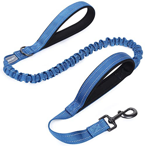 VIVAGLORY Laisse Bungee Haute Résistance pour Chien, Laisse de Formation Réfléchissante sans Traction avec Poignée de Trafic pour Chiens Moyens et Grands, Tailles Ajustables, Bleu Royal