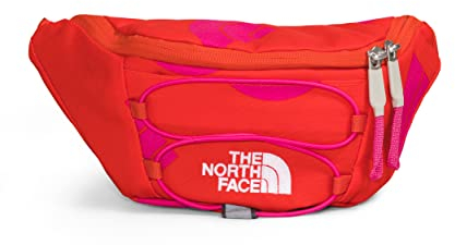 THE NORTH FACE Lendenwirbeltasche, Fiery Red Next Gen Logo Print/Fiery Red/Mr. Pink, Einheitsgröße, Classic