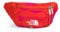 THE NORTH FACE Lendenwirbeltasche, Fiery Red Next Gen Logo Print/Fiery Red/Mr. Pink, Einheitsgröße, Classic