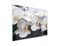 DarHaus Herdabdeckplatte 1 Teilig 30x22 cm Ceranfeldabdeckung Küche Elektroherd Induktion Herdschutz Spritzschutz Glasplatte Schneidebrett, Orchidee Weiß