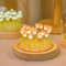 jackfru DIY Tulpe Nachtlicht, DIY Tulpe Nachtlicht, Tulip Lamp mit Glasabdeckung, Atmosphäre Licht Schlafzimmer Schlafen Tischlampe, Tulpe Blume Lampe für Kinder Mädchen Paar (Rosa 20 Stück)