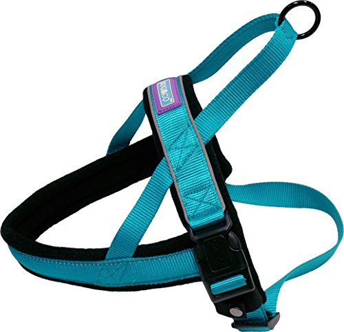 Other Dog & Co Nylon Norwegian Harness Reflective Aqua Large, clear