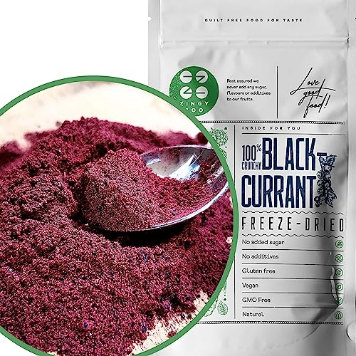 Polvere di Ribes Nero | Senza Zucchero Aggiunto | Frutta Liofilizzata in Polvere | Frutta Disidratata Verdura in Polvere | Mescola Il Ribes Pet Blackcurrant Powder Ribs Liofilizzata | ZingyZoo (100g)