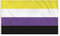 Non-Binary Flag (5ft x 3ft)