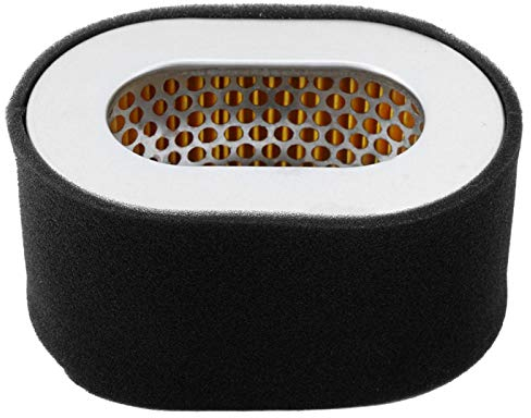 Filtro Carburante Diesel, Filtro aria Diesel 1 Cilindro, LIFAN 186 Motore Diesel, Cartuccia Filtro Aria per Yanmar L100 Diesel Trattore Motore 186F 186FA 10PS 11PS 12PS Generator