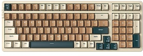 Qisan Mechanische Drahtlose Tastatur USB Verdrahtete Gaming Tastatur RGB Hintergrundbeleuchtung Tastatur Blauer Schalter 100 Tasten US Layout (Beige/Braun/Dunkelgrün Combo)