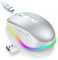 seenda Kabellose Maus LED, Wiederaufladbar Maus Kabellos mit Maus Jiggler, Leise 2.4G USB Funkmaus für Laptop, Computer Wireless Mouse Beleuchtet DPI 2000 für PC, Windows, MAC OS(Weiß&Silber)