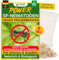 GREEN GUARDIA Power SF-Nematoden - 6 Mio. (60 Pflanzen/12m²) gegen Trauermücken – Biologisches Mittel zur effektiven Trauermücken Bekämpfung – Umweltfreundlich, chemiefrei