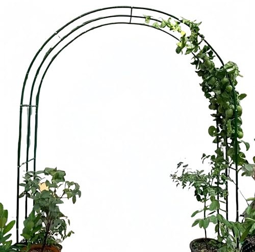 Romantischer Rosenbogen Gartenpavillon für Kletterpflanzen und Gemüse