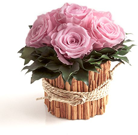 ROSEMARIE SCHULZ Heidelberg Rosengesteck 6 konservierte Rosen lang haltbar 3 Jahre/Blumengesteck/Bauernhaus/Blumen Deko/Tisch (Rosa)