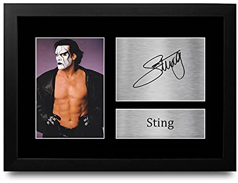 HWC Trading Sting A4 Gerahmte Signiert Gedruckt Autogramme Bild Druck-Fotoanzeige Geschenk Für Wwe Wrestling-Fans