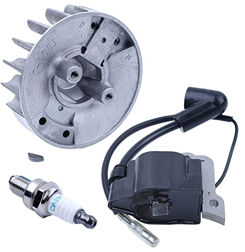 Gubeter Kit de clés de Bobine d'allumage de Volant d'inertie pour Honda Gx25 Gx25N 2 Temps Mini Moteur Hht25S Fg110 Tondeuse débroussailleuse Tondeuse à Gazon, 31110-Z0H-003, 30500-Z0Z-023