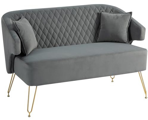 HOMCOM Sofá de 2 Plazas Tapizado en Terciopelo Sofá de Salón con 2 Almohadas Reposabrazos y Patas de Acero Doradas Sofá Pequeño Carga 240 kg para Dormitorio Oficina 124x69x76 cm Gris