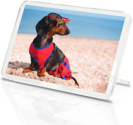 Lustiger Dackel klassischer Kühlschrankmagnet – Strandwurst Hund Hund Hund Geschenk #14840