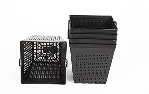 Lincolnshire Pond Plants Ltd Pond Planting Aquatic Basket Packs - 1 Litre - 11cm Square Pots x 6