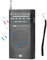 Radio Portatil Pequeña A Pilas, Radio Am FM Portátil con La Mejor Recepción, Altavoz Grande, Transparente, Conector para Auriculares, Pequeños Obsequios para Personas Mayore
