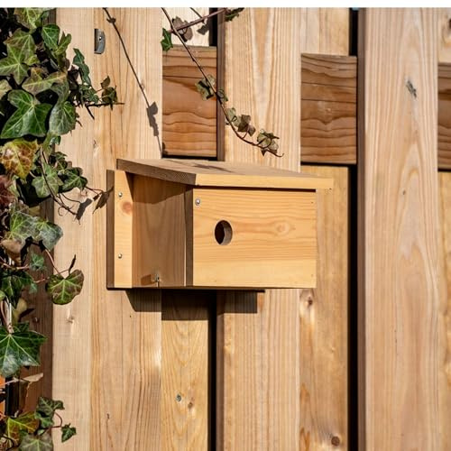 CJ Wildlife Nistkasten Sperling – Vogelnistkasten für draußen – wetterfest – Holz FSC® 100% – Spezial für Haussperlinge – mit 34 mm Einflugloch