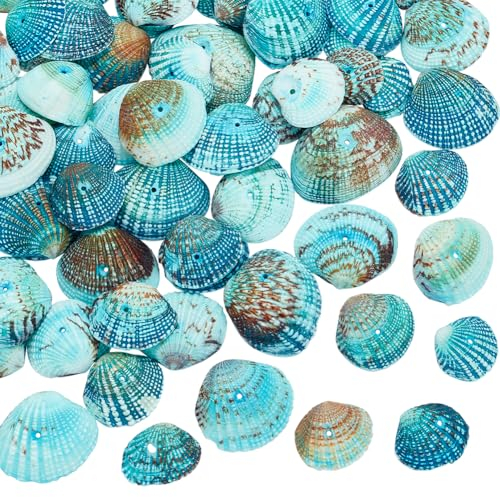 PandaHall 1 Kasten blaue kleine Jakobsmuscheln 32-37 mm Muscheln für Halsketten Anhänger Schmuck Kerzen Zuhause Meerjungfrauen Schmuck Party Hochzeit Dekoration Aquarium Vasenfüller, 1mm Loch