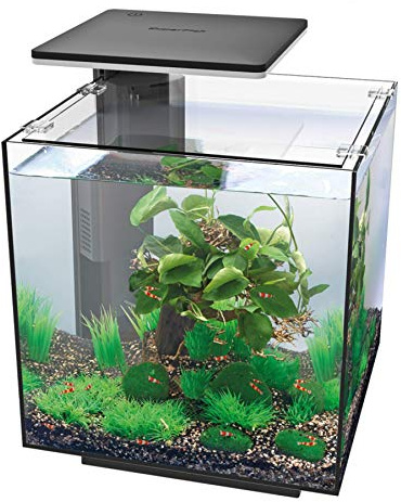 Superfish Qubiq Aquarium 30 l (Pack of 1) with LED Lighting - Black