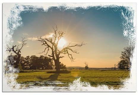 Wallario Wandbild aus Holz Alte knochige Bäume bei Sonnenuntergang - 60 x 90 cm in Premium-Qualität: Brillante Farben