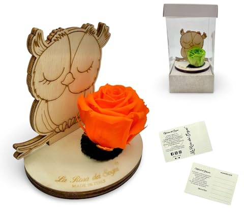La Rosa dei Sogni Rosa Stabilizzata con Gufo in Legno Intaglio Laser– Fiore Naturale a Lunga Durata, Scatola Elegante – Made in Italy (Arancione)
