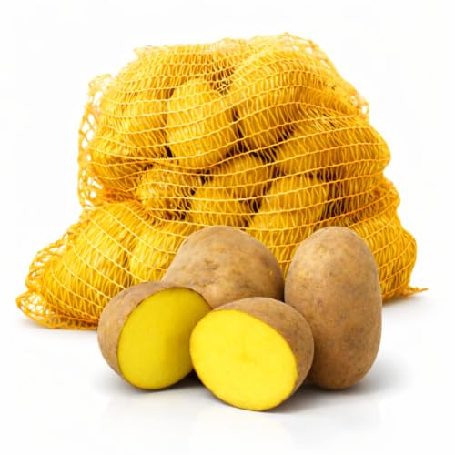 FRUCHTVERSAND24® Speisekartoffeln Glorietta 12,5kg | sehr festkochend & gelbfleischig | Ideal für Back- & Bratkartoffeln, Kartoffelsalat | fein und aromatisch, tiefgelbe Fleischfarbe