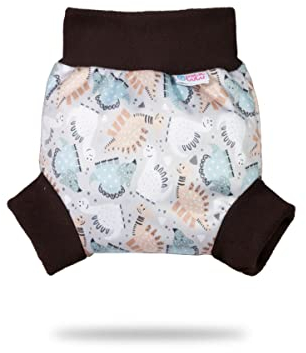Petit Lulu Pull Up PUL Überhose Größe M (6-10 kg) | wasserdicht Schlupfüberhose für Höschenwindeln | Stoffwindeln | Hergestellt in der EU (Dinos Frienship)
