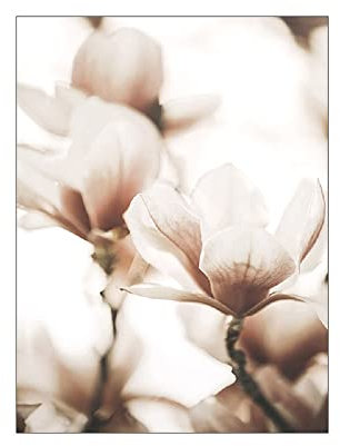 ABCWARRT Nordic Seascape Landschaft Kunst Leinwand Malerei Strand Muschel Blumen Heu Poster Home Wandbild Dekor Kein Rahmen (20 * 30cm Kein Rahmen,7)