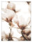 ABCWARRT Nordic Seascape Landschaft Kunst Leinwand Malerei Strand Muschel Blumen Heu Poster Home Wandbild Dekor Kein Rahmen (20 * 30cm Kein Rahmen,7)