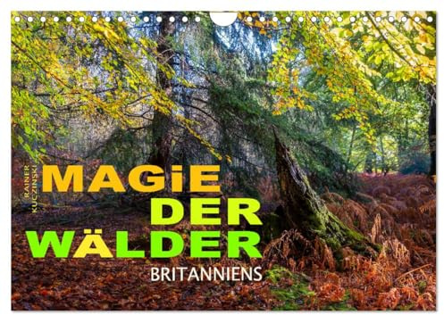 Magie der Wälder Britanniens (Wandkalender 2026 DIN A4 quer), CALVENDO Monatskalender: Besondere, magische Momente eingefangen in den Wäldern Großbritanniens (CALVENDO Natur)