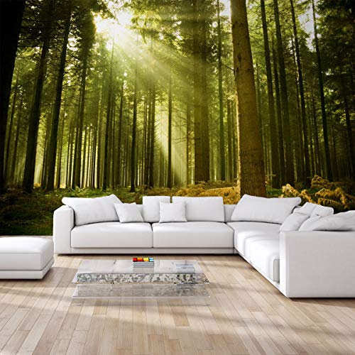 Muralo Vinyl Struktur FOTOTAPETE Wald Bäume Sonne Farn Natur Tapete Wandtapeten 360 x 240 Wohnzimmer Schlafzimmer Moderne Wandbilder XXL Wand Dekoration Br. 360 cm x Hö. 240 cm