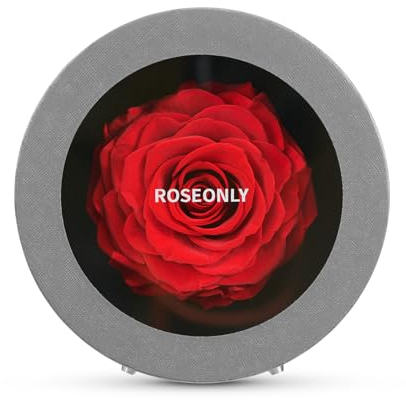 roseonly. Ewige Rose, Echte Rosenbox, Konservierte Rosen, Infinity Rote Rose, Geschenke für Frauen, Freundin zum Geburtstag, Valentinstag, Weihnacht, Muttertag, Jubiläum (Mini)